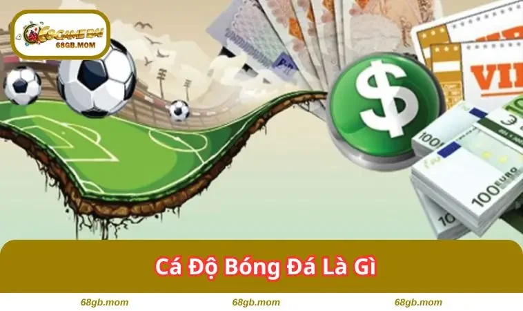 ca do bong da la gi